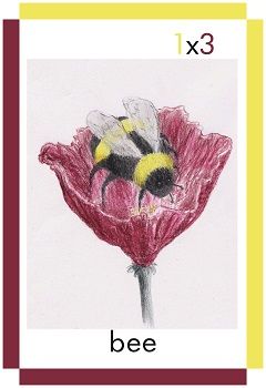 A card showing a bee